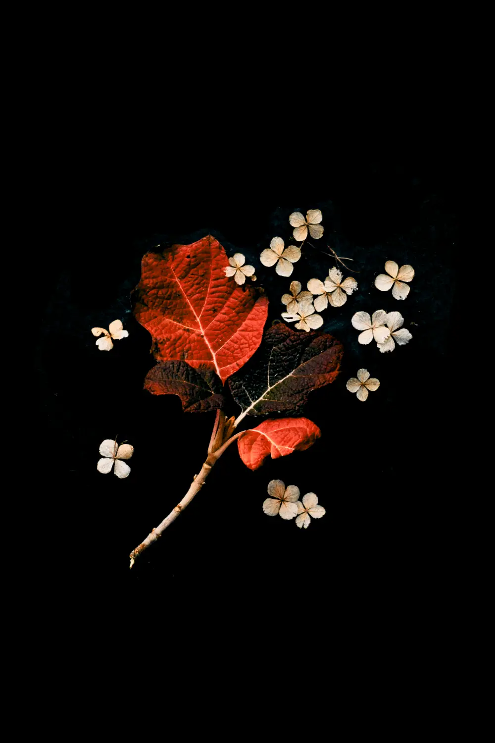 placeholder image-sq