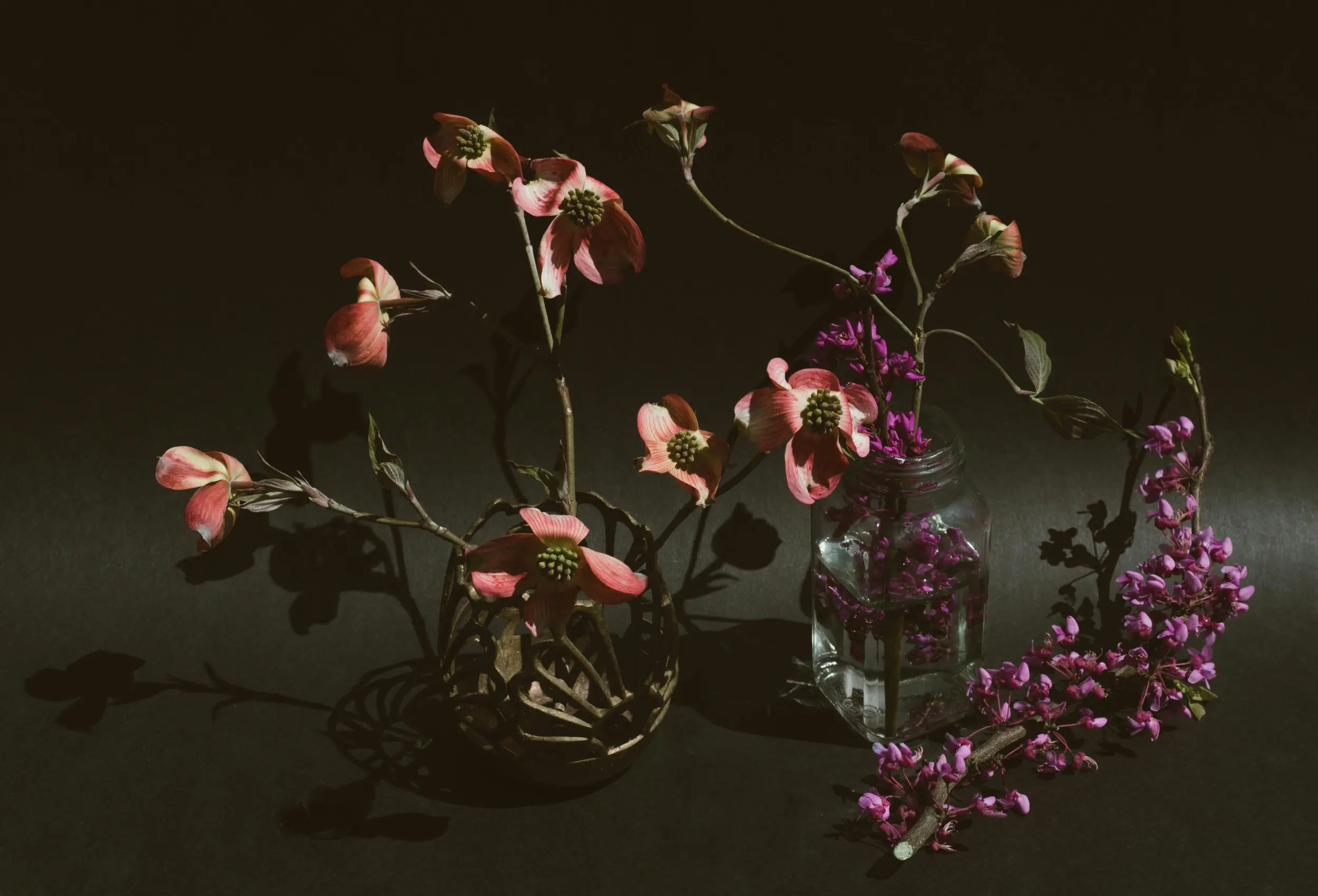 flower wide 1