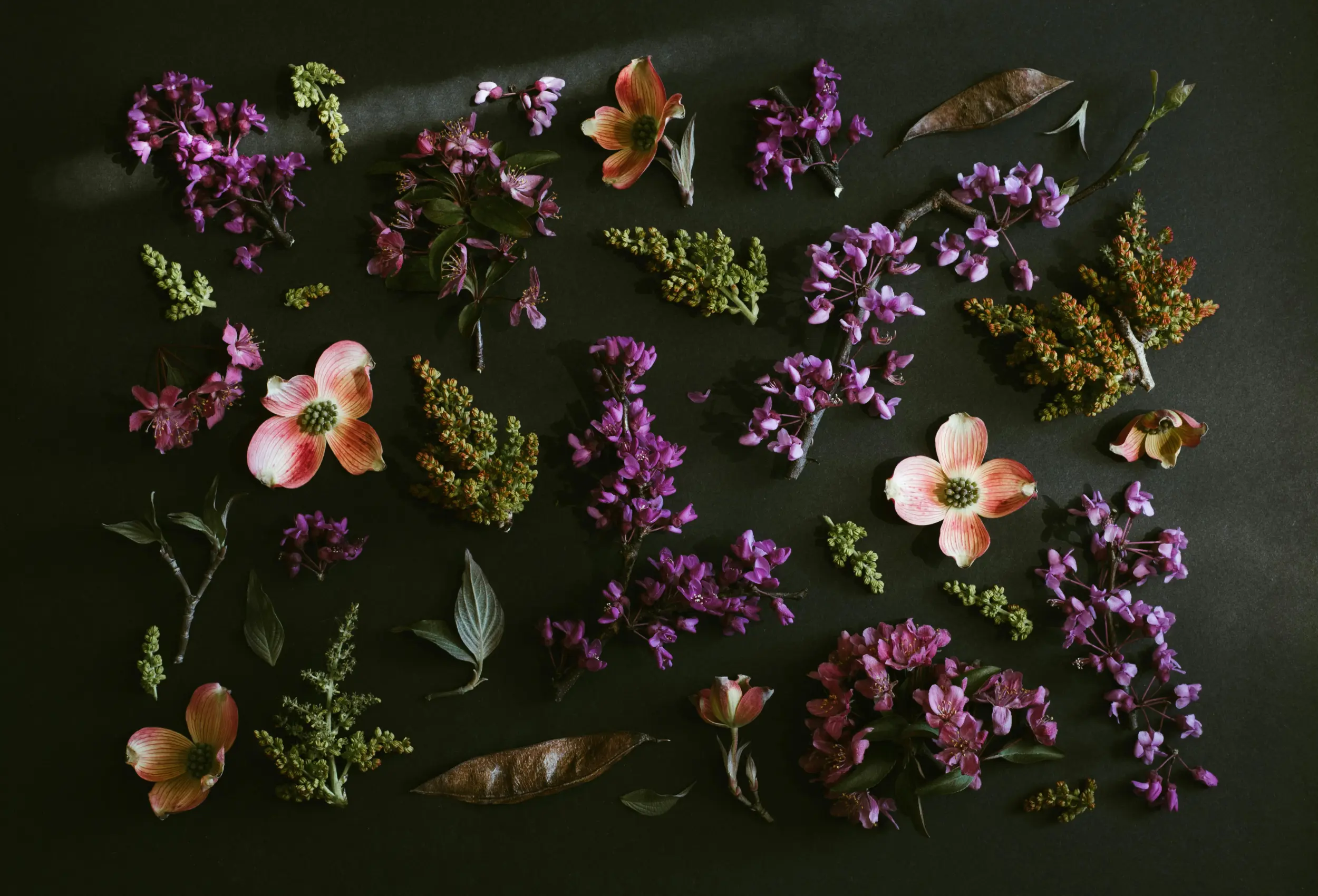 flower wide 1