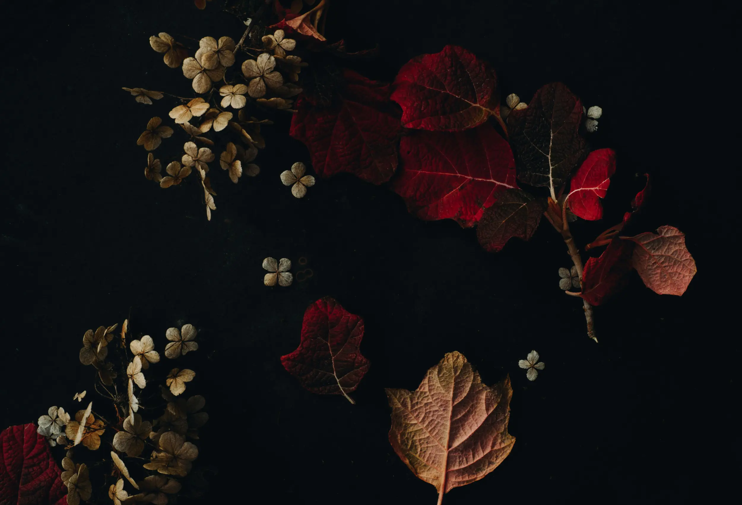 flower wide 3