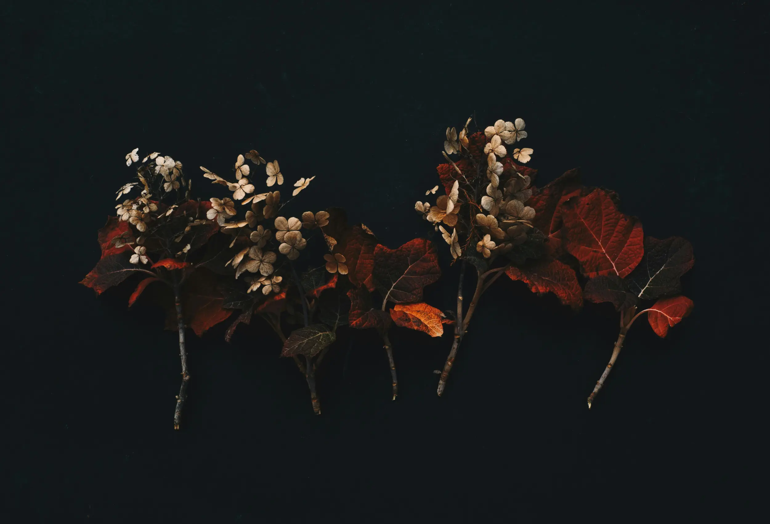 placeholder image sq