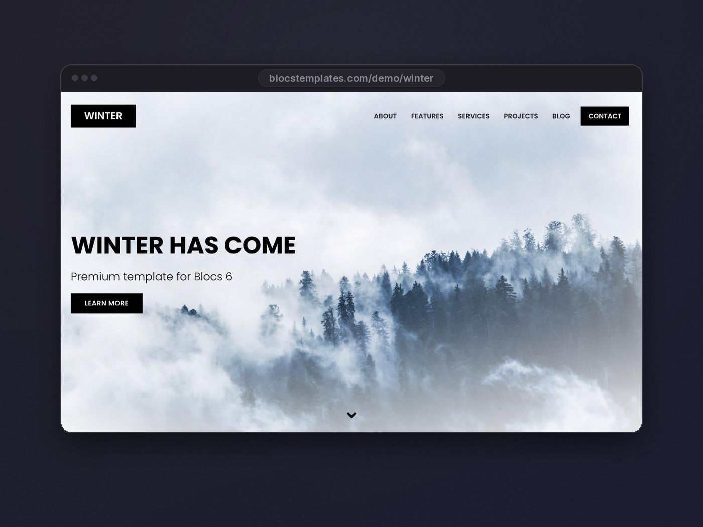 Winter template for Blocs website builder