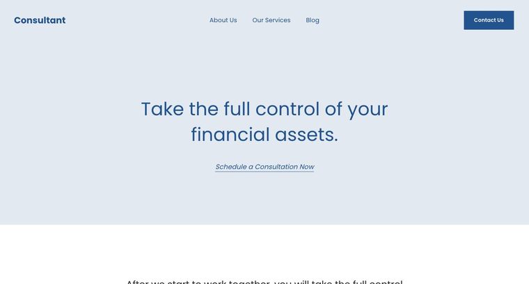 Consultant template — Homepage page