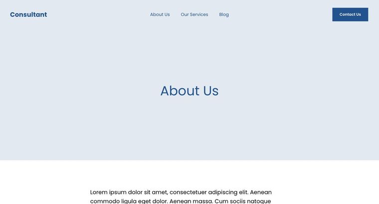 Consultant template — About page