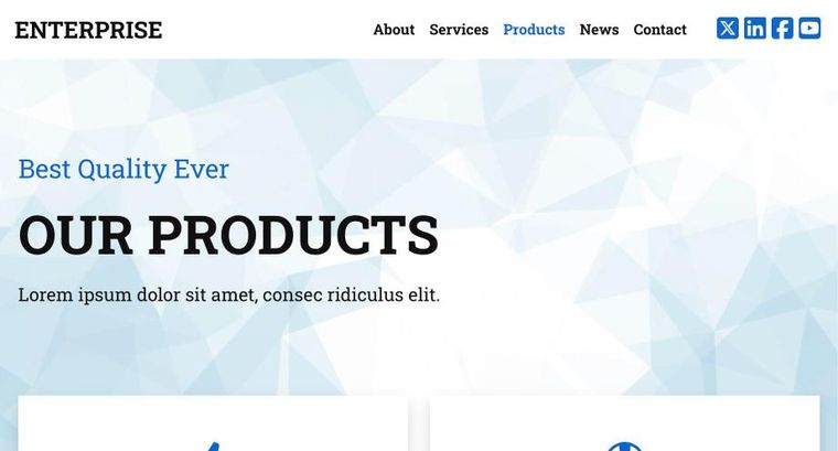 Enterprise template — Products page