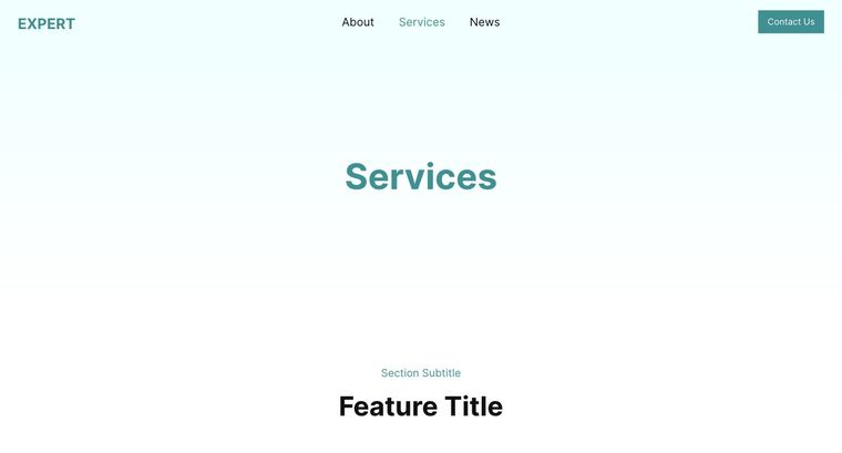 Expert template — Services page