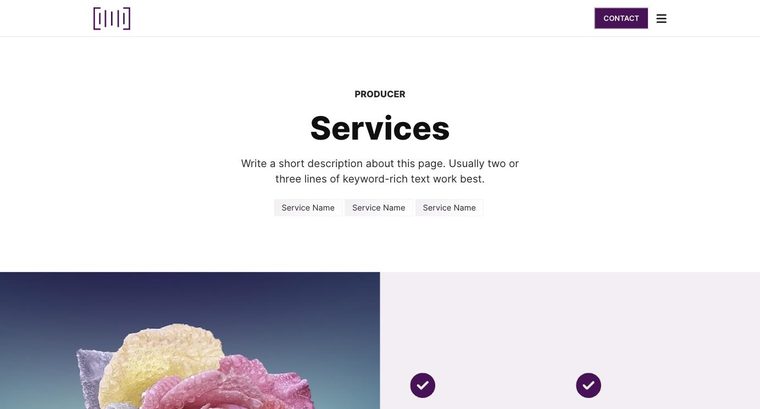 Producer template — Services page