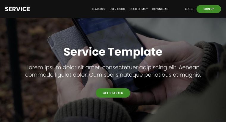 Service template — Homepage page