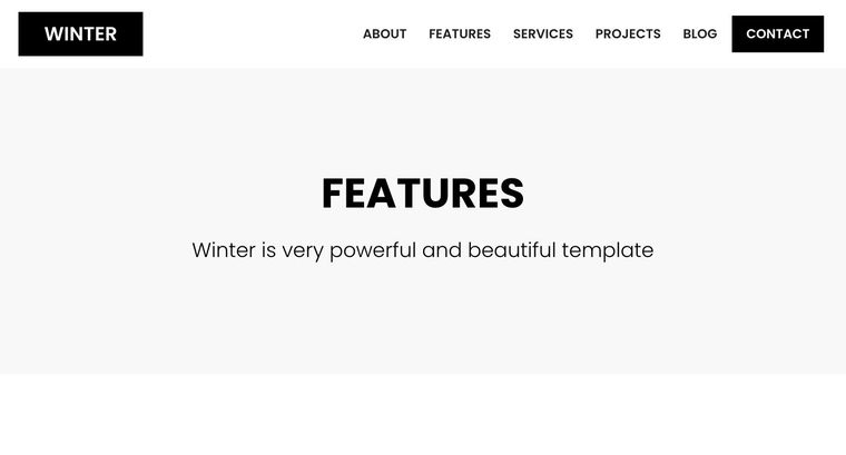 Winter template — Features page