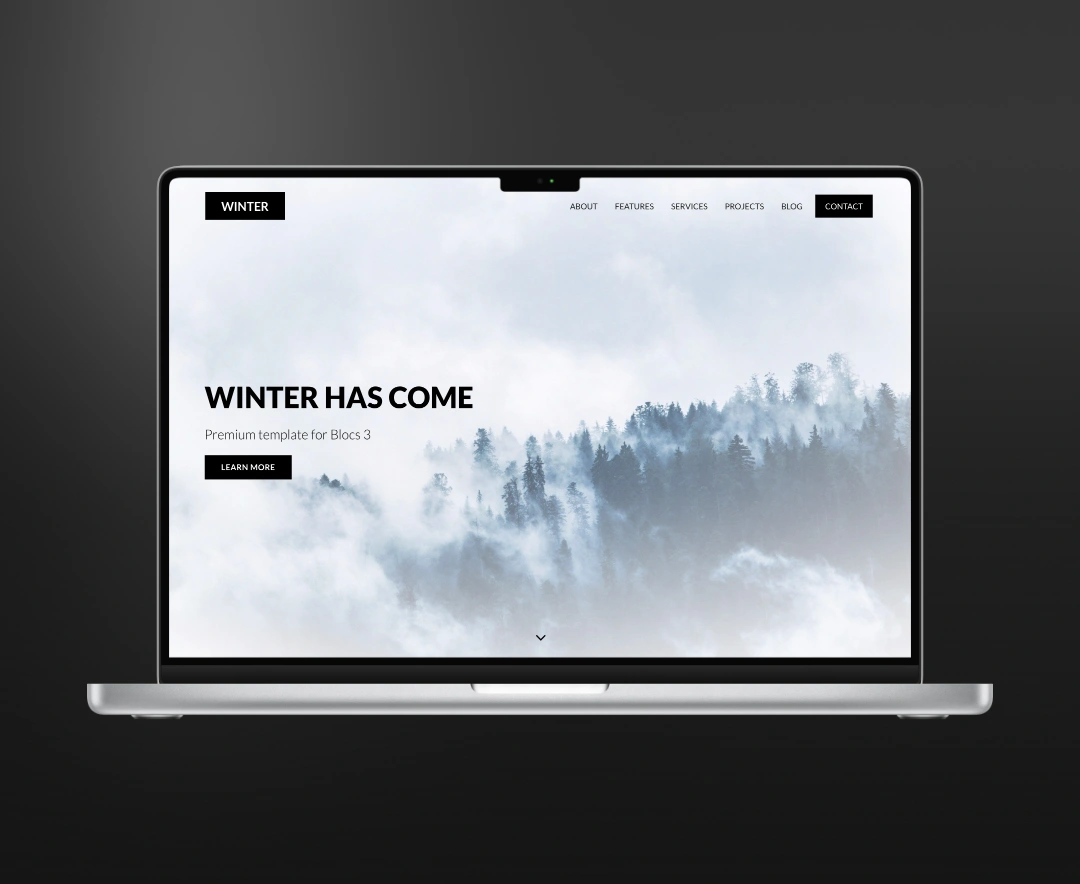 Winter premium free template for blocs